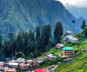 Himachal Trip Packages 