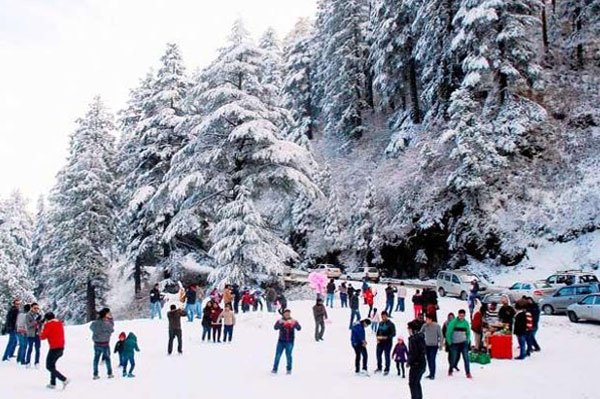 himachal tour package himachal tor package