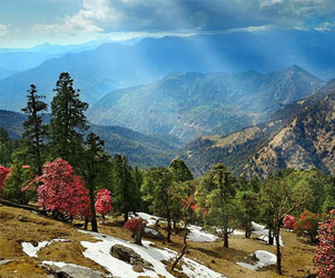 hill station tour packages  