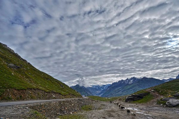himachal travel package himachal travel package