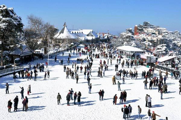 shimla tour package